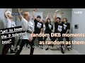 DKB&#39;s got Da Krazy Boys (random moments as random as them)