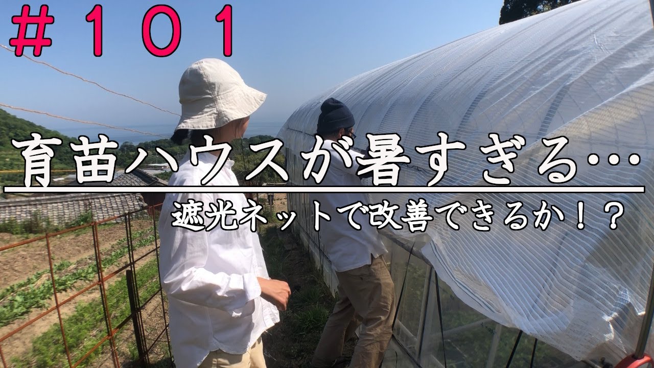自然農】灼熱の育苗ハウスを改善したい｜遮光ネット｜らーくらくネット