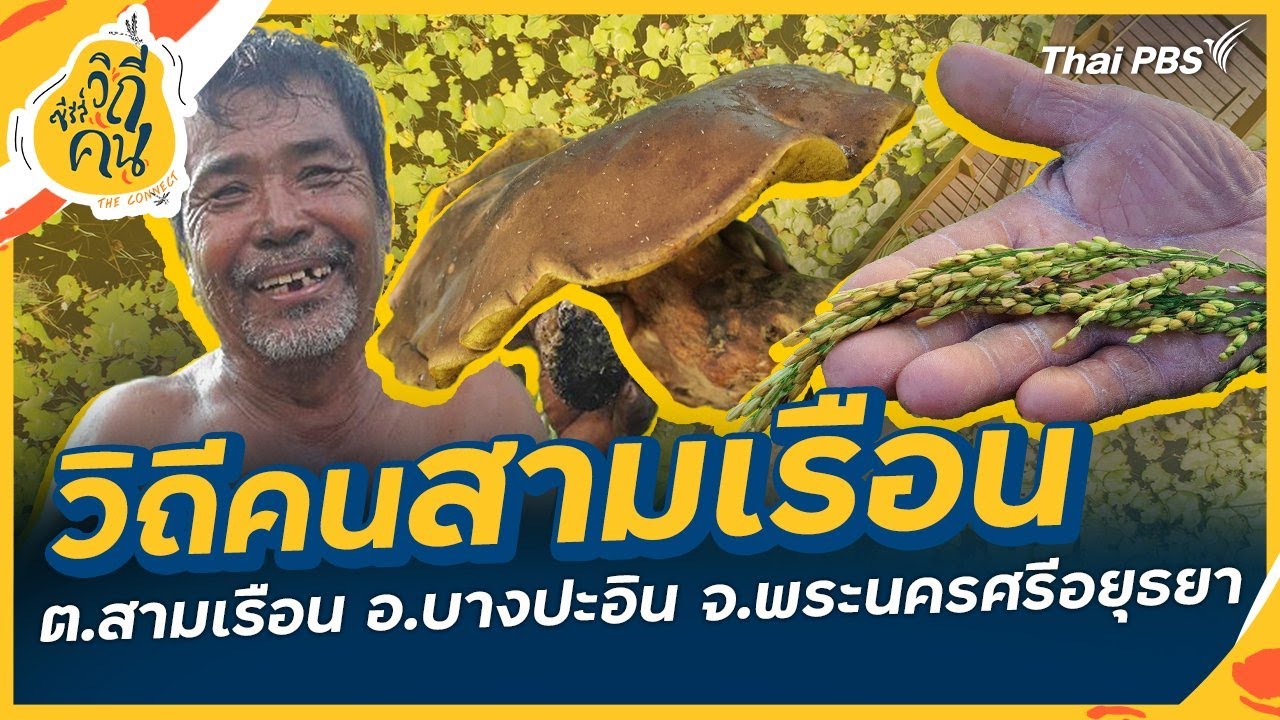 วิถีคนสามเรือน ต.สามเรือน อ.บางปะอิน จ.พระนครศรีอยุธยา | ซีรีส์วิถีคน