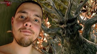 видео: Задабриваем лес | Dragon Age: Origins | Прохождение #50 картинка: Задабриваем лес | Dragon Age: Origins | Прохождение #50