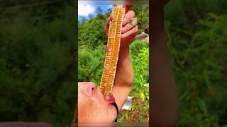 Watch the Pure Arazial Honey Eating! 🍯🐝 | A Beautiful Blessing from Allah #honey #bee #satisfying