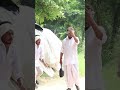 અણધરાયા કડવા ની રાંધણ છઠ 😂