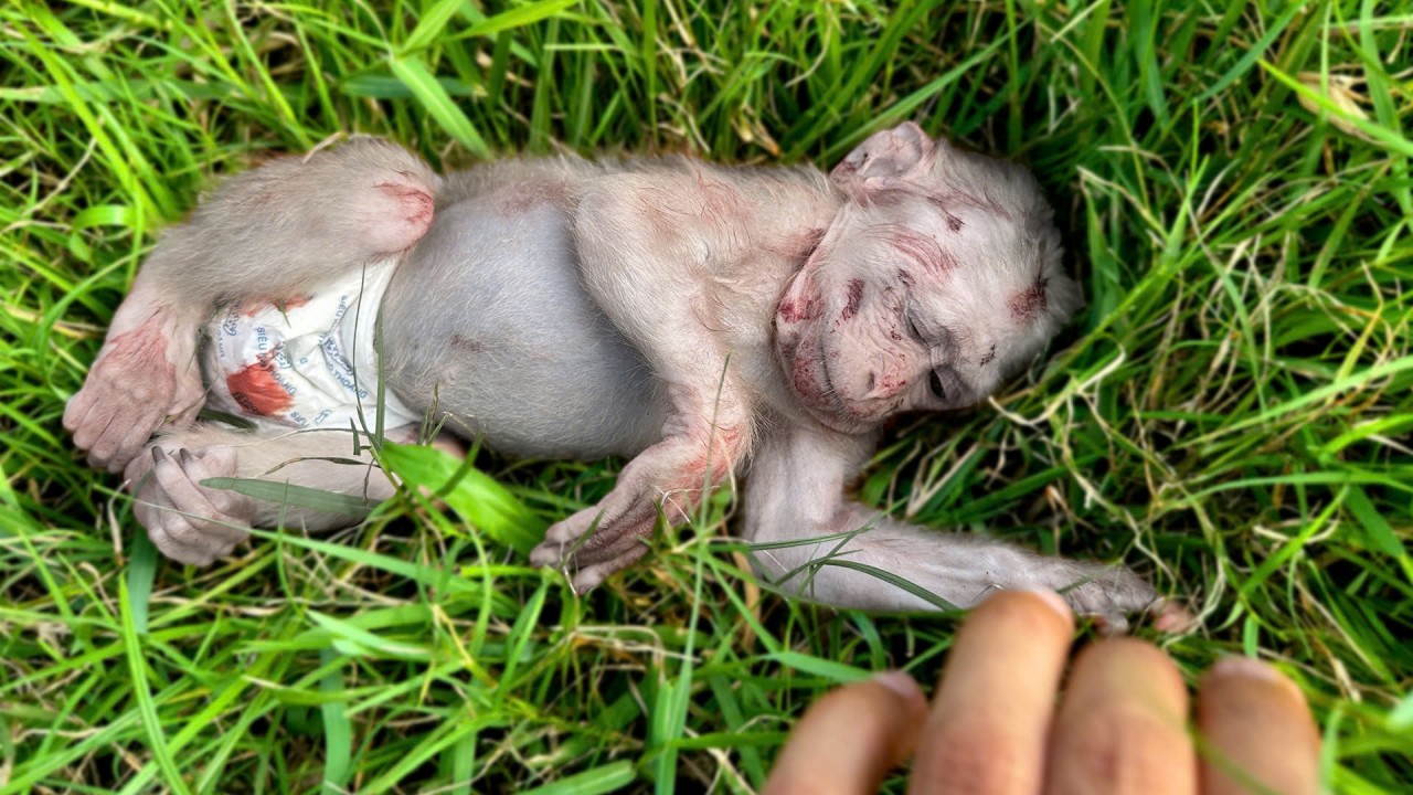 О нет, это не Хаки!!!