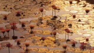 Download Lagu ♥♫CAVATINA - Gheorghe Zamfir and Dana Dragomir ♥♫ MP3