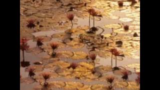 ♥♫CAVATINA - Gheorghe Zamfir and Dana Dragomir ♥♫