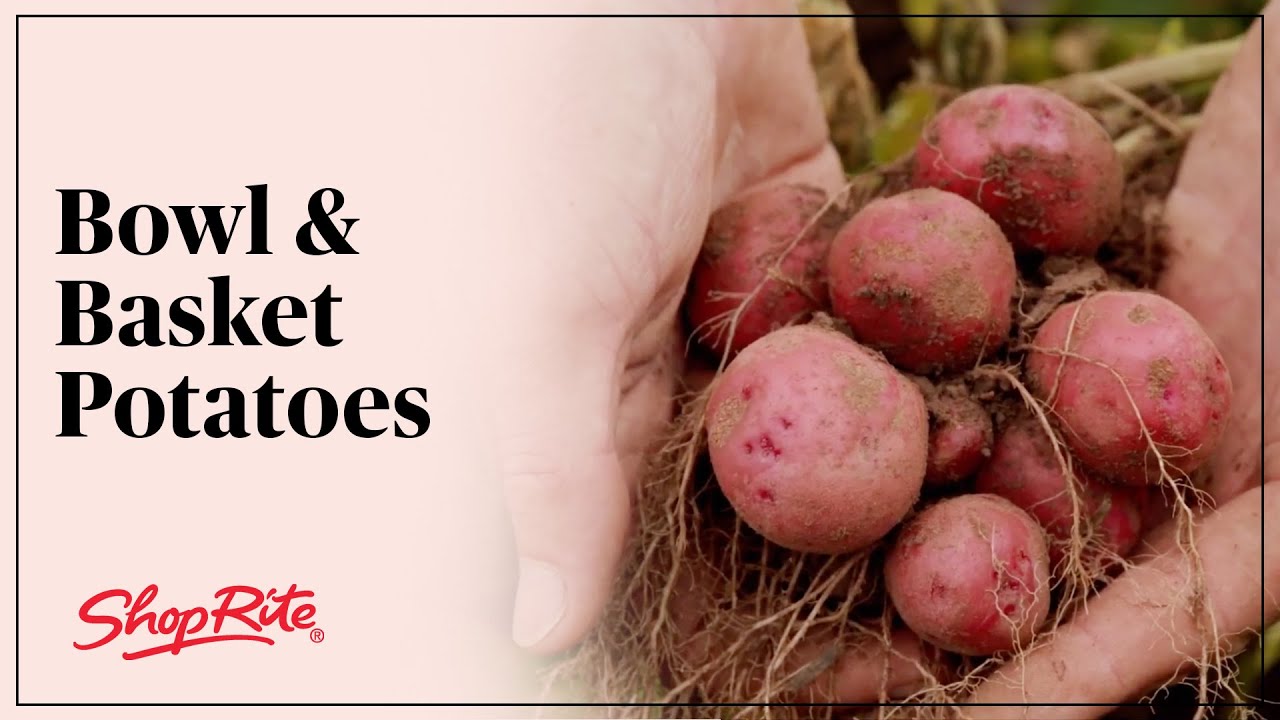 Shop Bowl & Basket Potatoes at ShopRite ShopRite Grocery Stores YouTube