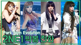 2NE1 활동으로 보는 박봄(Park Bom) 의 성장기