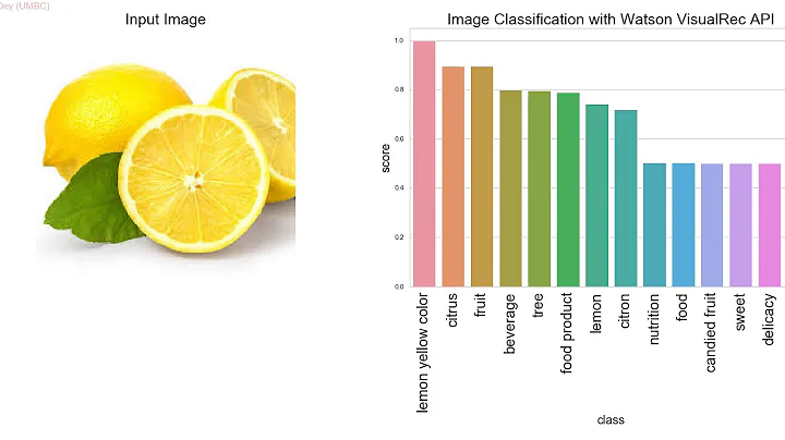 Image Classification with IBM Watson Visual Recognition V3 API