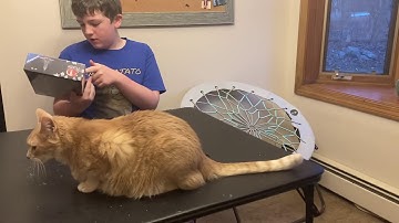 Empire State Building Ravensburger 3D puzzle speed build