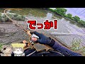ミラクル☆このルアー釣れすぎてヤバイ!【リバーシーバス】