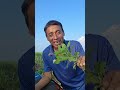 Dios está derramando bendiciones de lluvias para los campos.