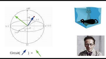 [Extended] Paper Review: "QAOA for Max-Cut requires several hundred qubits"