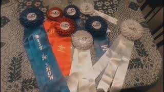 Medalhas