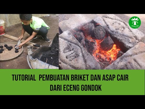 Video: Tulip, Bakung, Eceng Gondok Setelah Distilasi