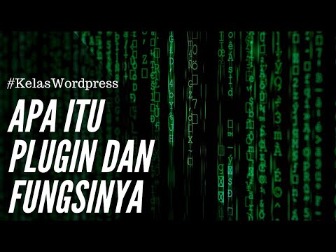 Video: Untuk Apa Plugin?