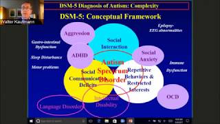 Diagnostic Criteria For Autism Dsm-5 And Beyond