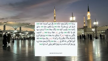 سورة النبأ - Surah An-Naba (The Announcement) - الشيخ محمد المحيسني