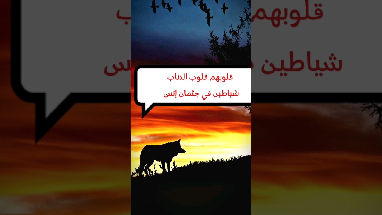 هؤلاء يلبسون للناس مسوح الضأن من اللين وقلوبهم قلوب الذئاب شياطين في جثمان إنس | عبدالله القصير
