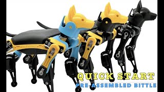 Bittle Quick Start Guide: Unleash Your Robot Dog Fun  | Petoi