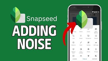 How to Add Noise in Snapseed 2024?
