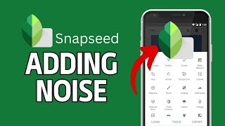 How to Add Noise in Snapseed 2024? screenshot 4