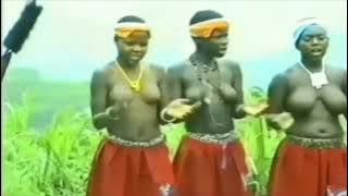 South Africa Zululand Zulu dancing