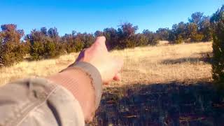 Cinco Acres— 3808 Freeman Hollow Rd Snowflake, Az 85937