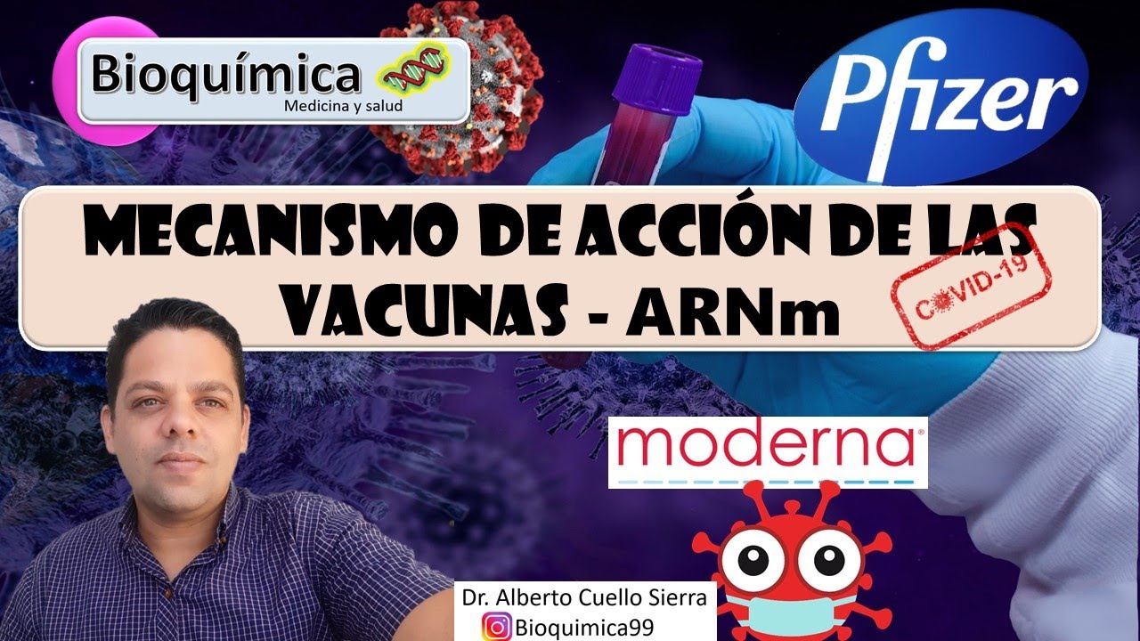 Mecanismo de acción de la Vacuna de ARNm; Pfizer y Moderna
