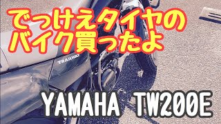 （TW200）でっけえタイヤのバイク！1999年製のヤマハTW200を購入したので紹介する動画！