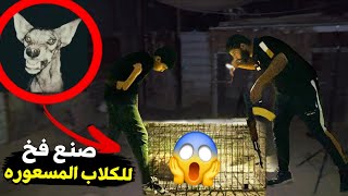 يوم كامل مع صيد الكلاب المتوحشة🐕 داخل مزرعتي😭