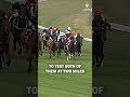 DELTA BLUES デルタブルース and POP ROCK ポップロック shocked Flemington in 2006 🎌#melbournecup #デルタブルース #ポップロック