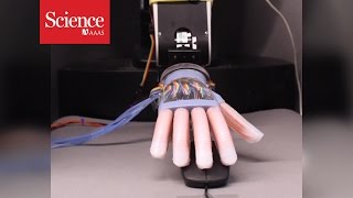 A spongy robot hand with a sense of touch