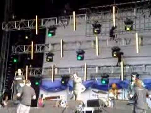 Eels - "Rock Show . . . ."