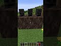 WITHER de decoração no minecraft KEKW #shorts #minecraft