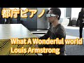 この素晴らしき世界 / What A Wonderful World【都庁ピアノ】【ストリートピアノ】