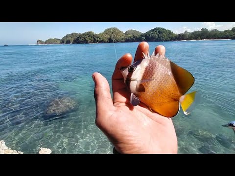 MICRO FISHING DI PULAU SEMPU SENDANG BIRU KAB MALANG