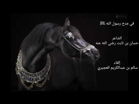 قصيدة في مدح رسول الله ﷺ لحسان بن ثابت رضي الله عنه 