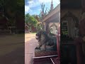 កន្លែងលោកតាឃ្លាំងមឿង