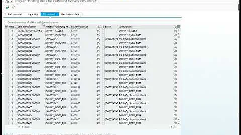 Delivery - Handling unit