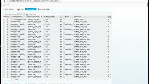 Delivery - Handling unit