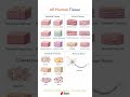 All Human Tissue || सभी मानव ऊतक || #mltips #biology #mltstudents #dmlt_classes #biologyclass #lab