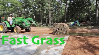 New Grass... Easy & Fast