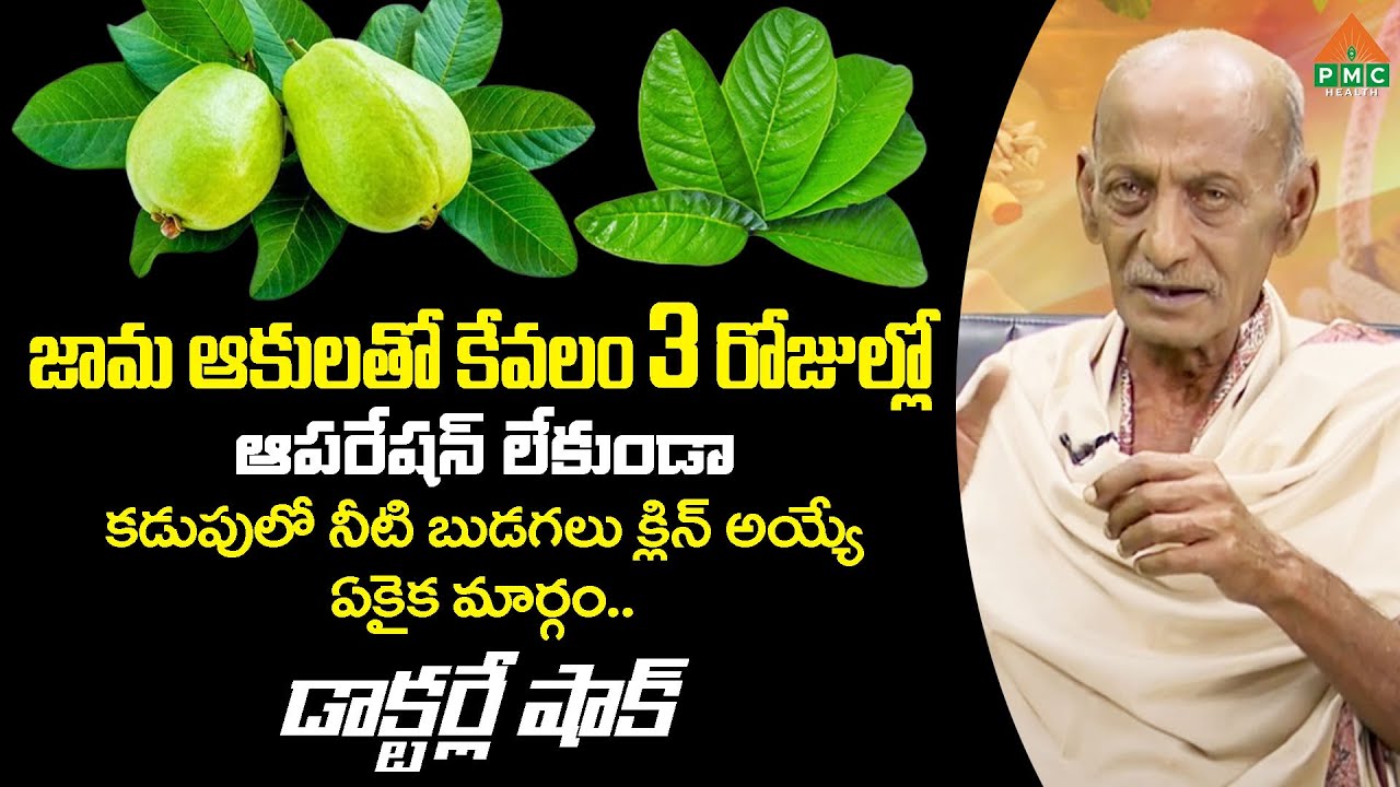 జామ ఆకులతో కేవలం 3 రోజుల్లో ఆపరేషన్ లేకుండా కడుపులో నీటి బుడగలు క్లిన్ అయ్యే ఏకైక మార్గం |PMC Health