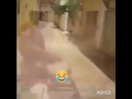 Suuuu Ni Nyoko Cover Ya Muzik DaraaSA 