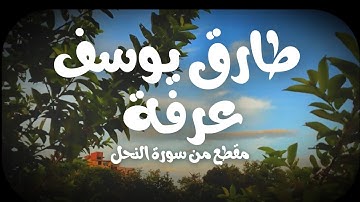 مقطع  من سورة النحل للقارئ طارق يوسف عرفة