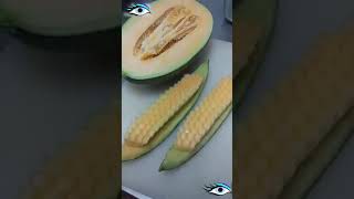 VID 20190513 WA0079 1