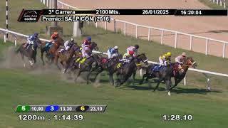 Vidéo de la course PMU PRIX SALPICON (2016)