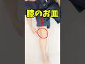 膝の痛みが消える膝のお皿体操 恵比寿【膝痛専門】整体院蒼-AO-