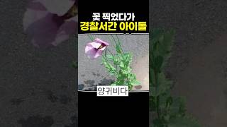 꽃 찍었다가 경찰서간 아이돌