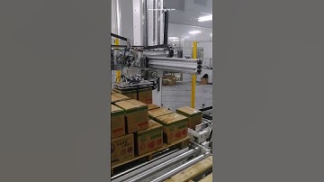 Apple box carton automatic robot two boxes palletizing machine palletizier equipment